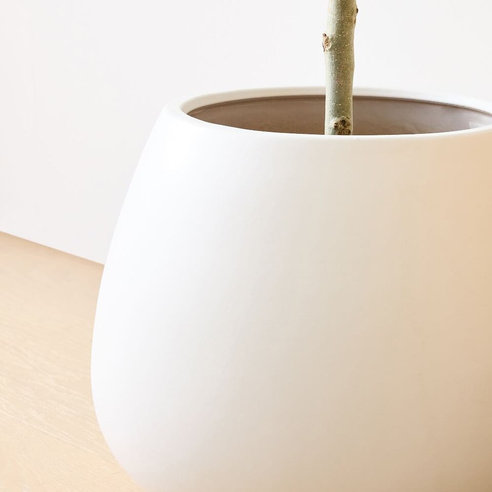 Pure White Ceramic Planters West Elm UK